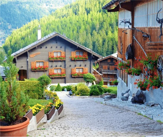 Swiss Escape - Niche Coliving brand